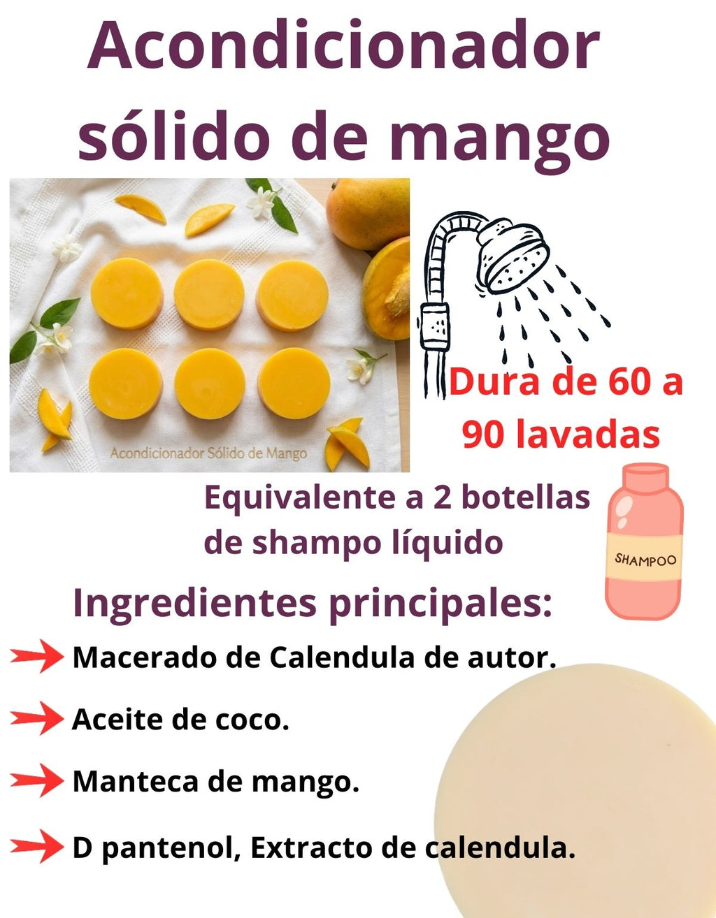 KIT SHAMPOO Y ACONDICIONADOR SOLIDO MANGO HIDRATACION PROFUNDA