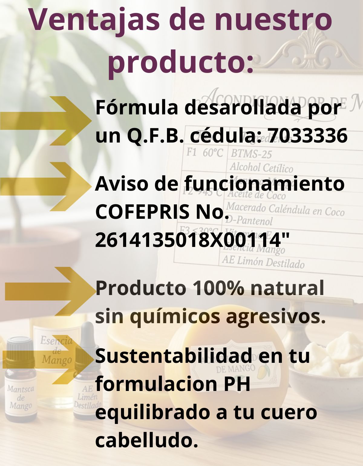 Acondicionador Solido Mango Desenredo Brillo Natural Scentia
