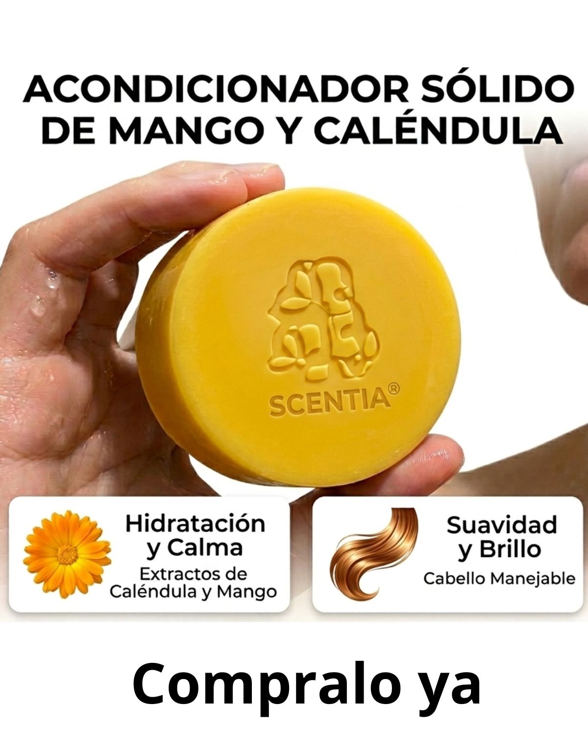 Acondicionador Solido Mango Desenredo Brillo Natural Scentia