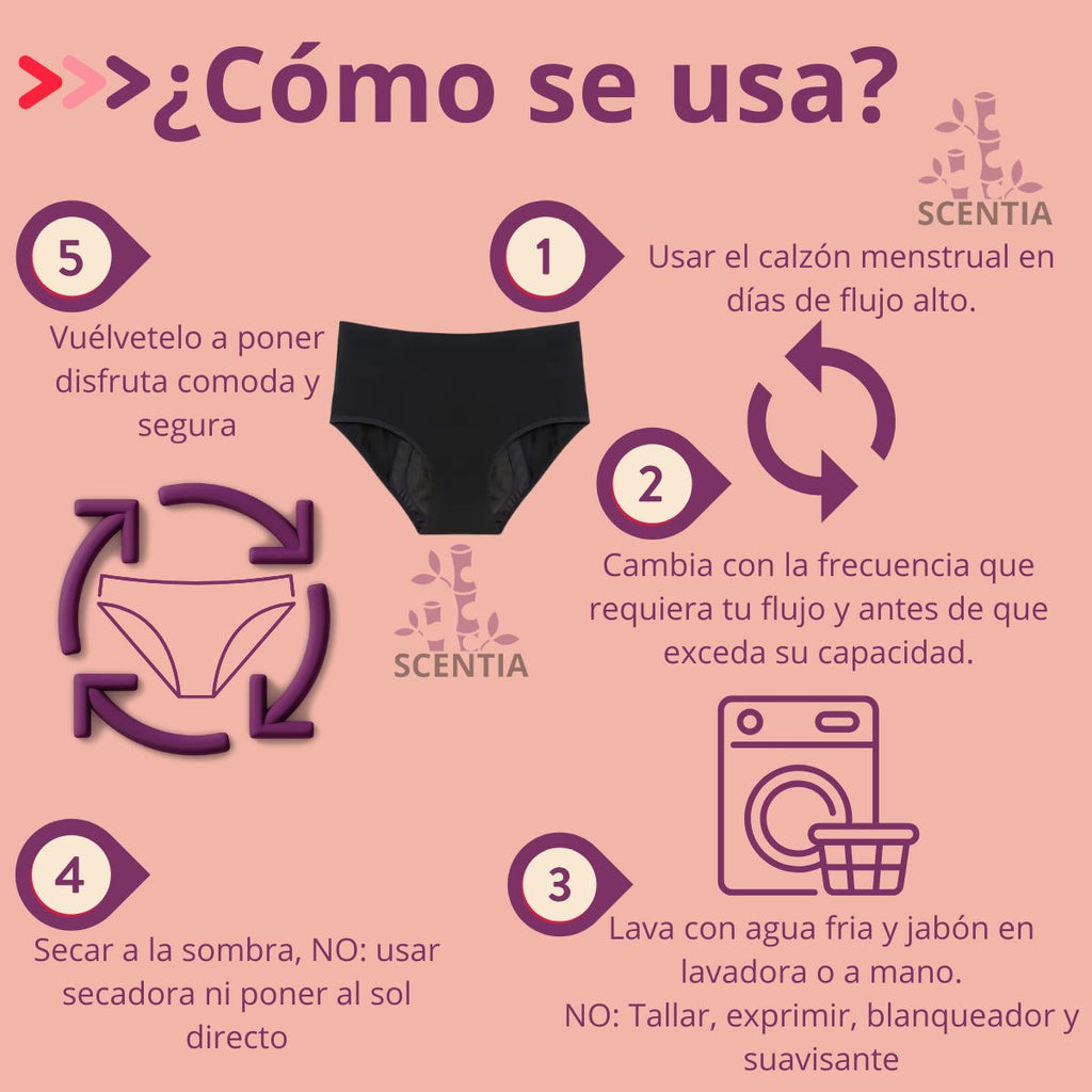 Calzon Incontinencia Urinaria Bambu Scentia Lavable 200ml