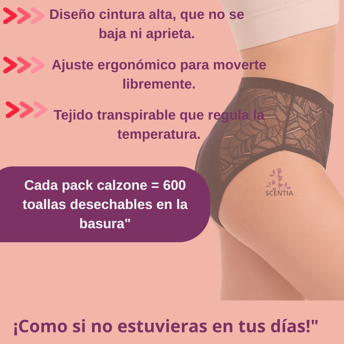 2 Pack Calzones Menstruales Bambú Scentia Encaje Sexy Flujo Alto Braga