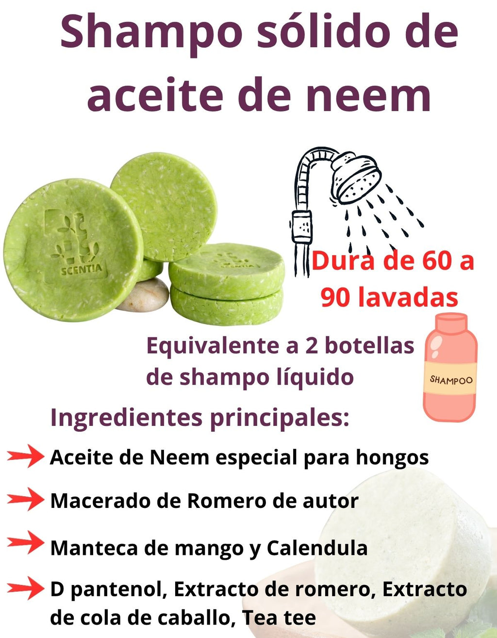 Champu Sólido Anticaspa Neem Control Sebo Caspa