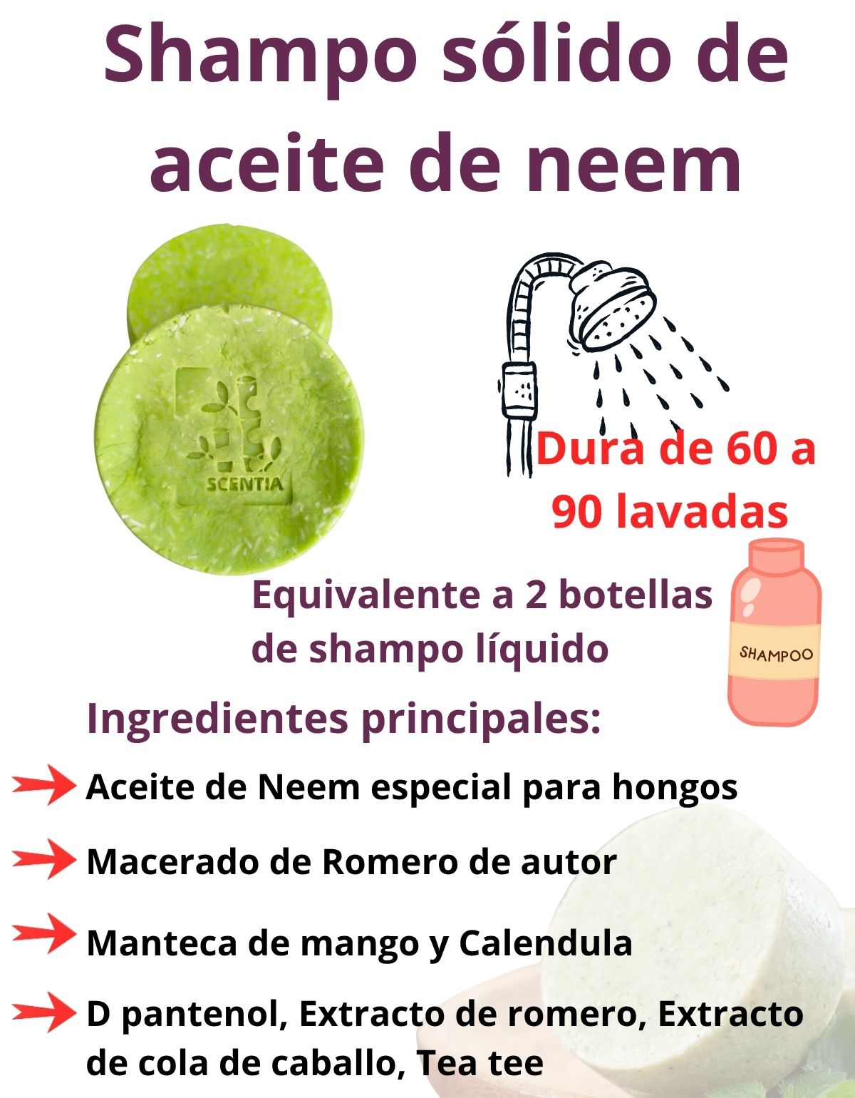 Shampoo solido anticaspa de neem - regalo pack 3 kits