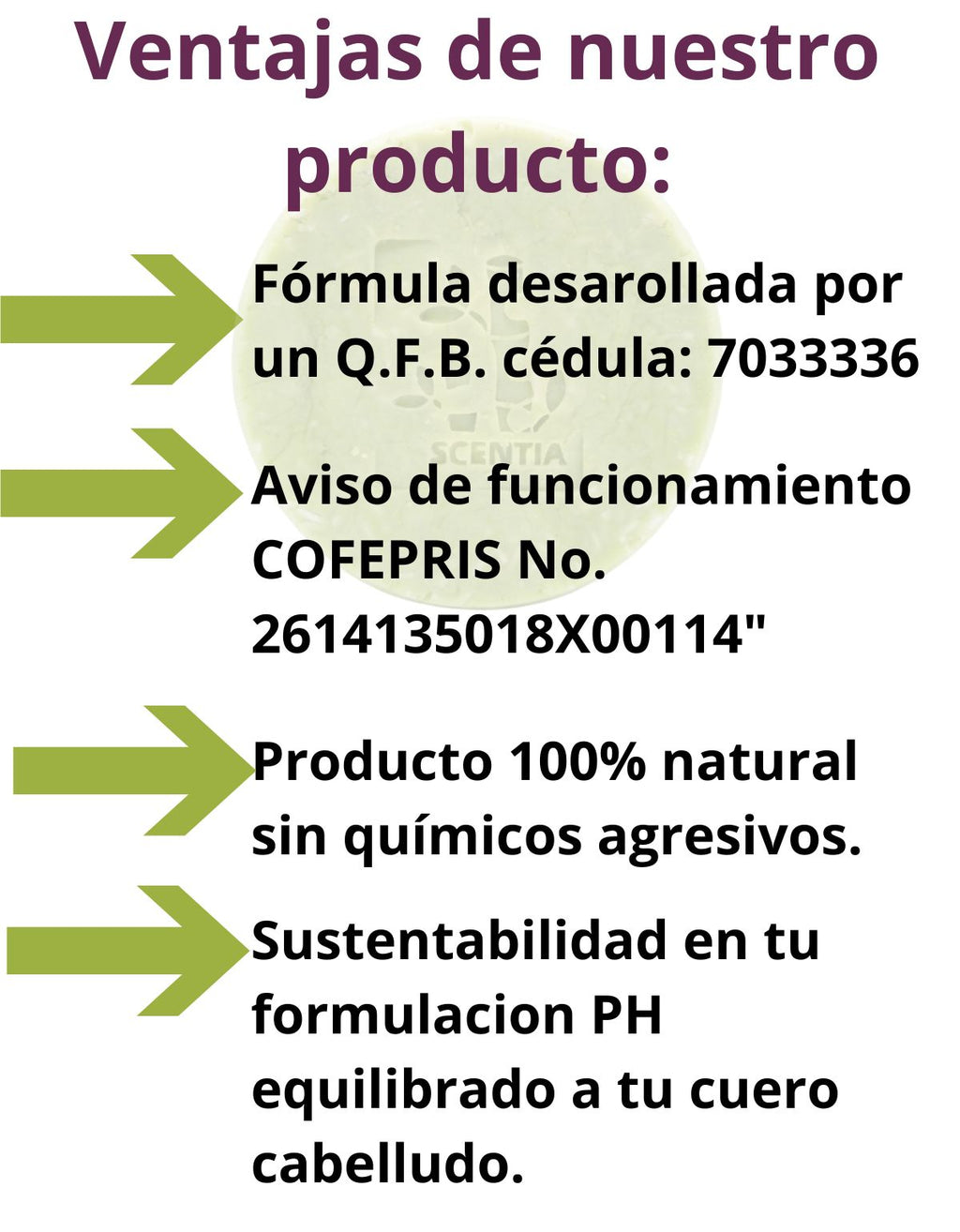 Champu Sólido Anticaspa Neem Control Sebo Caspa