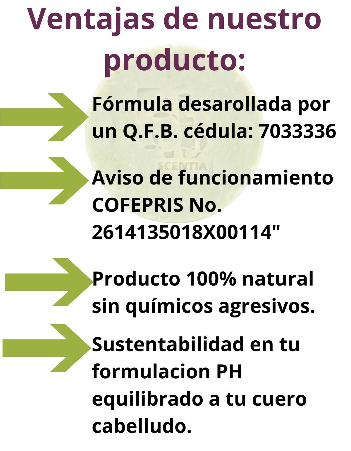 Champu Sólido Anticaspa Neem Control Sebo Caspa
