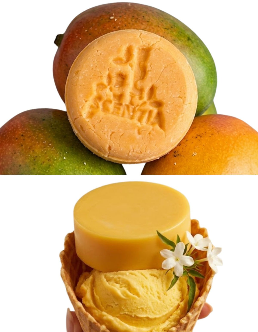 KIT SHAMPOO Y ACONDICIONADOR SOLIDO MANGO HIDRATACION PROFUNDA