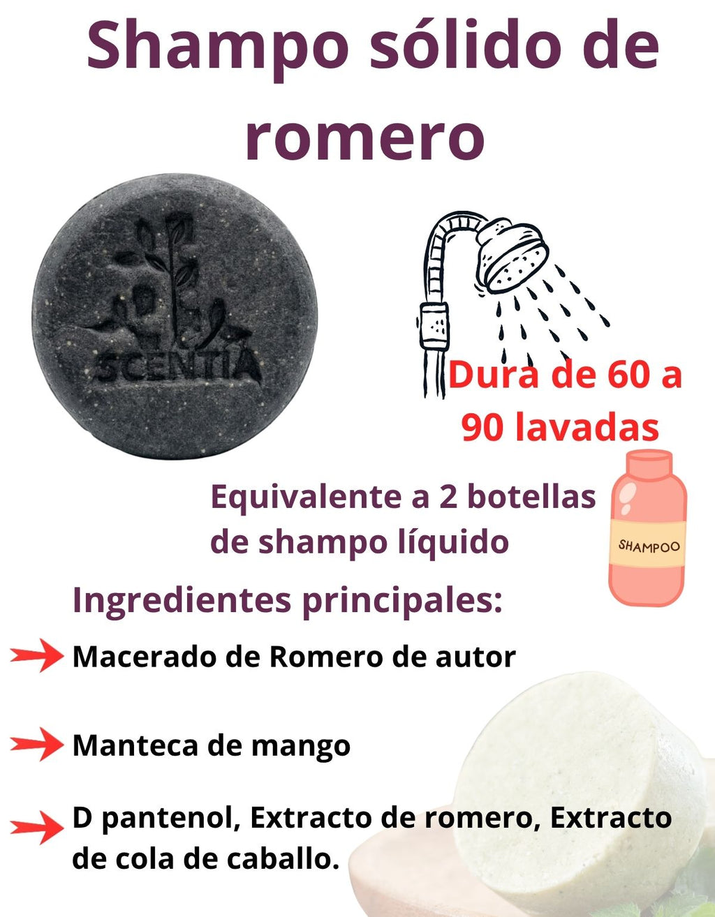 Shampoo Sólido Carbón Activado Detox Cabello Graso