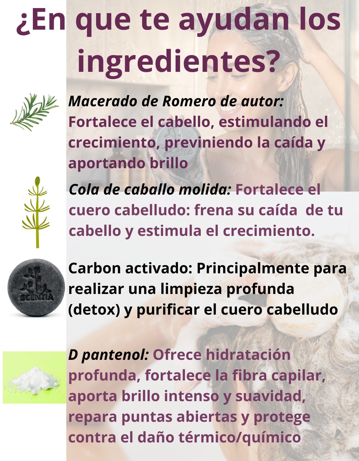 Shampoo Sólido Carbón Activado Detox Cabello Graso