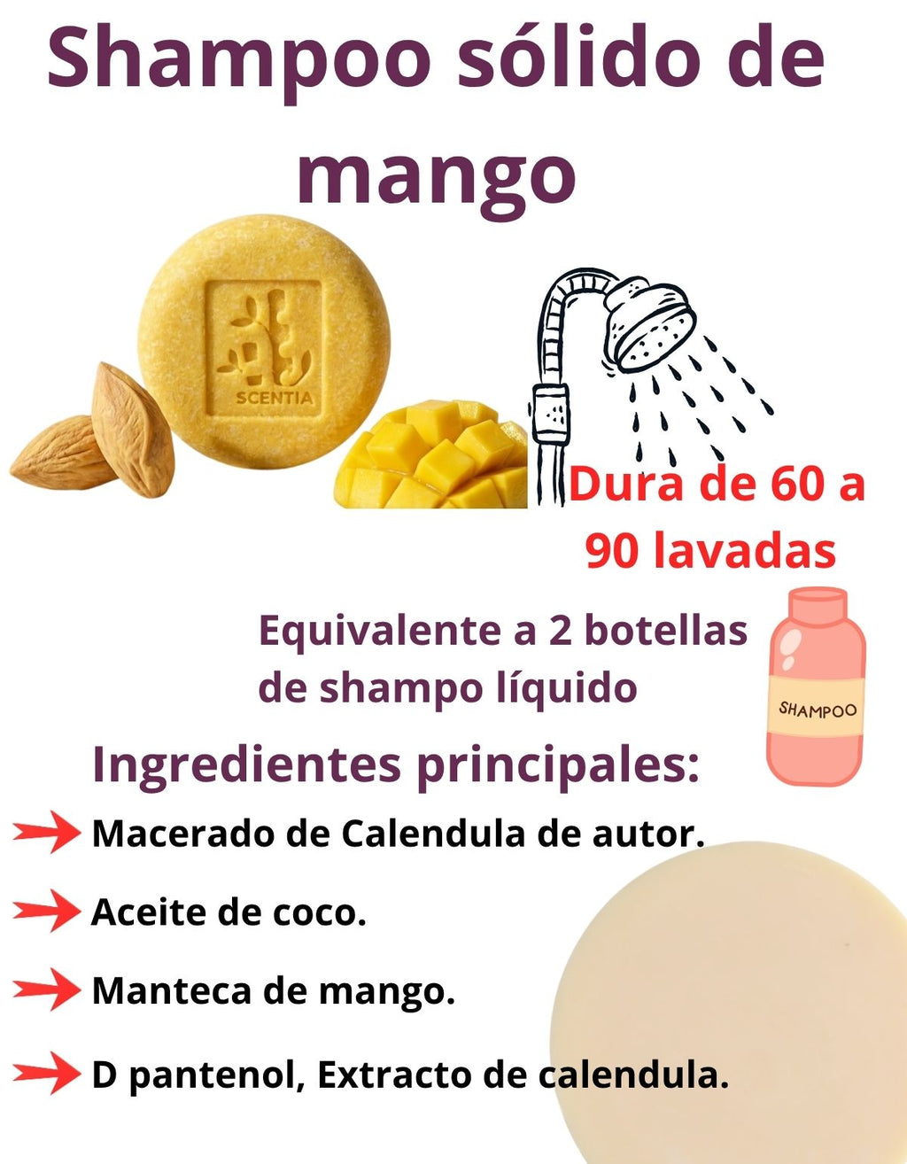 Shampoo Sólido Mango Control Frizz Cabello Seco Scentia