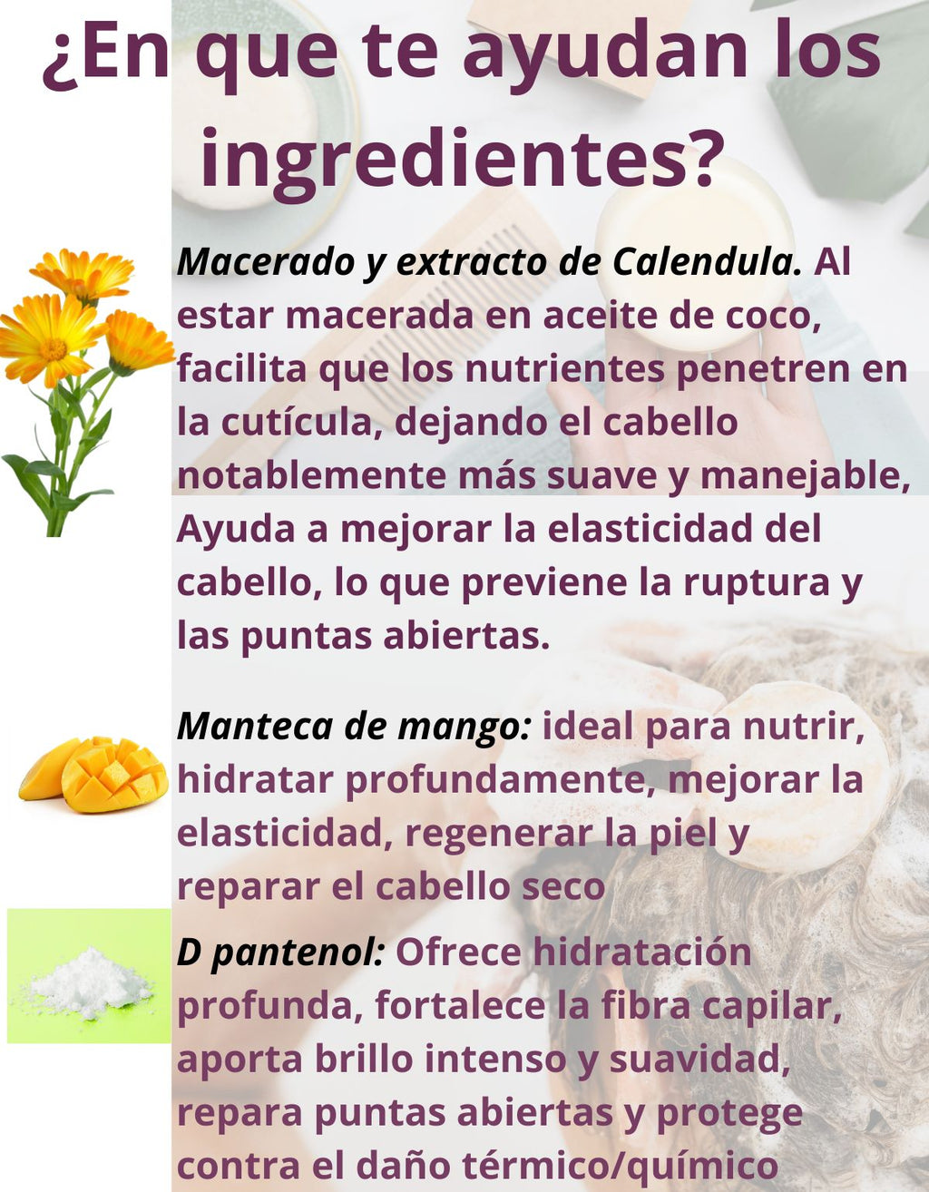 Shampoo Sólido Mango Control Frizz Cabello Seco Scentia