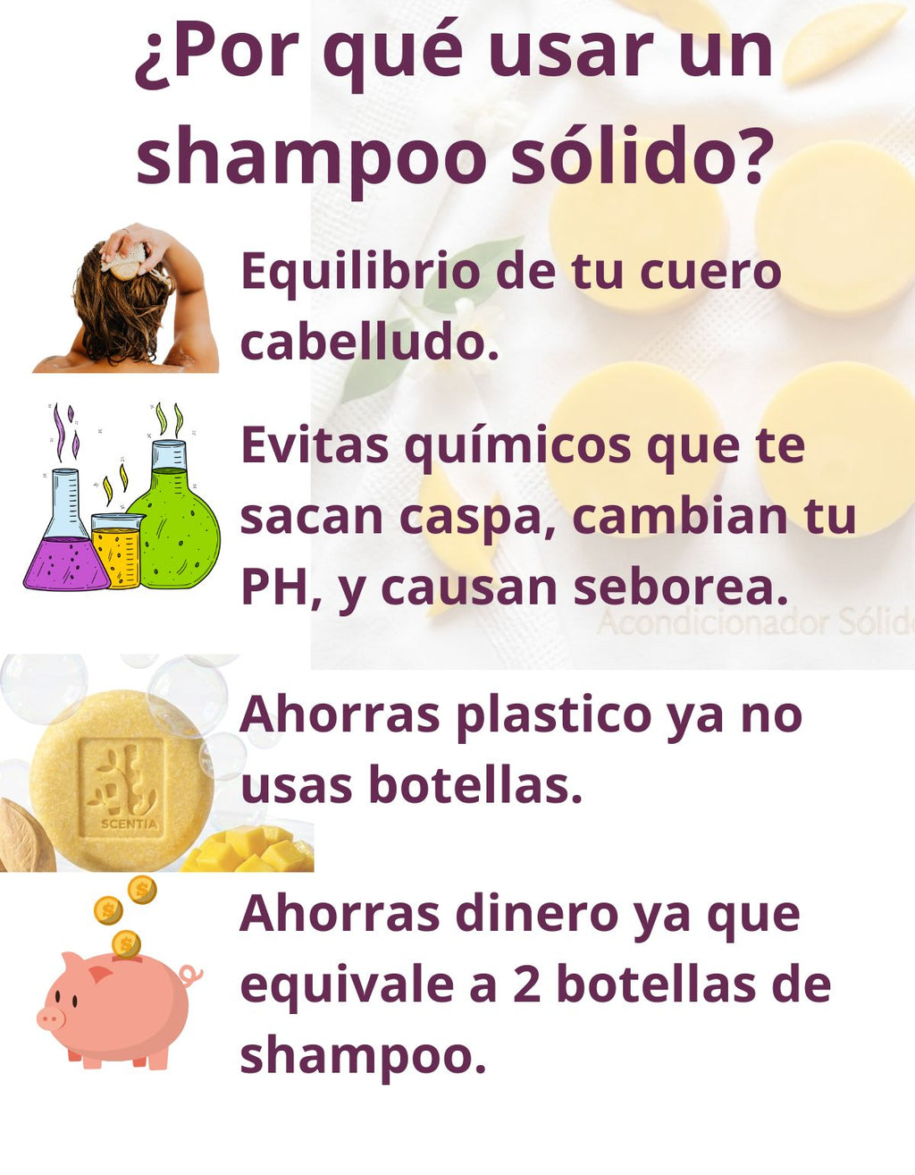 KIT SHAMPOO Y ACONDICIONADOR SOLIDO MANGO HIDRATACION PROFUNDA