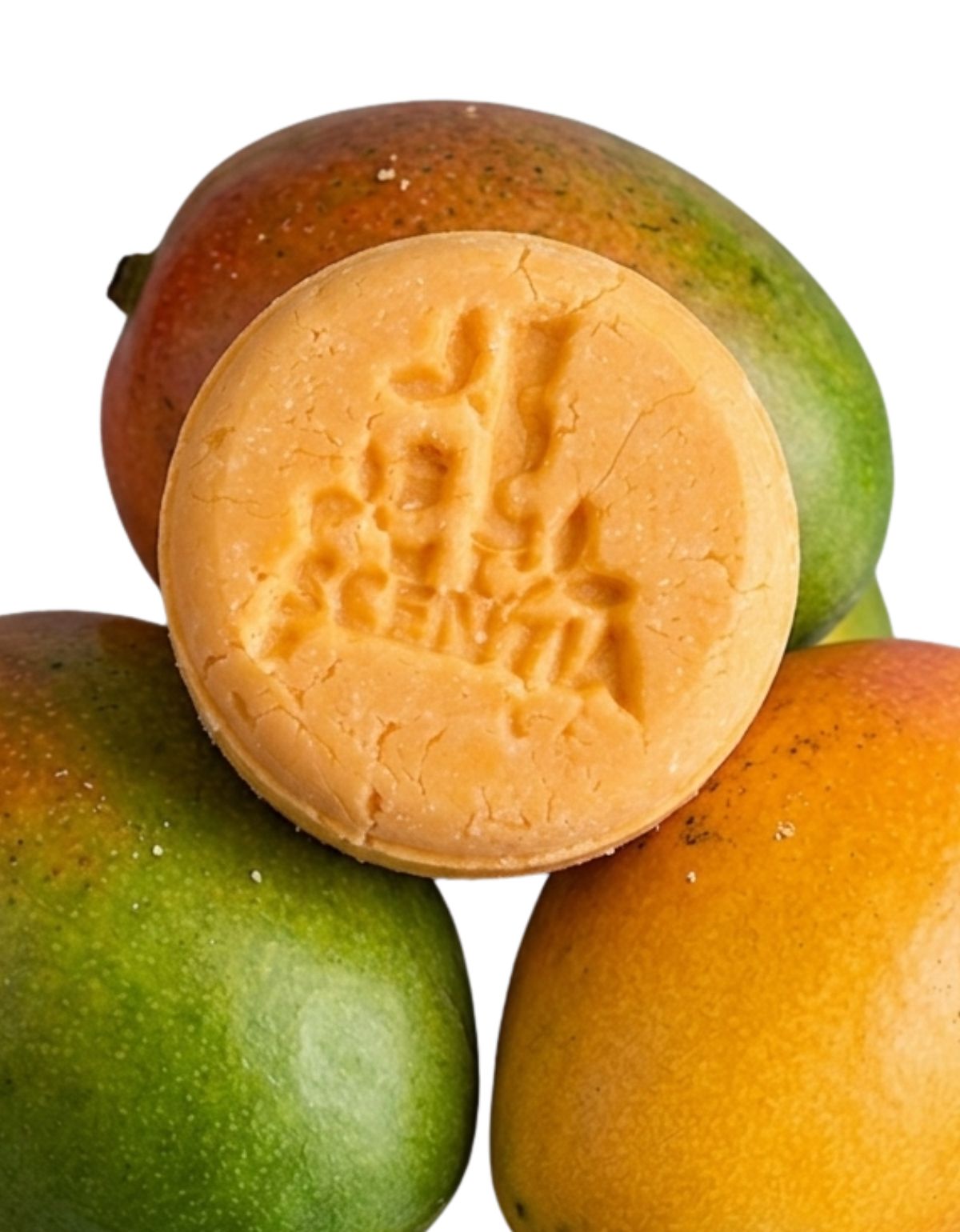 Shampoo Sólido Mango Control Frizz Cabello Seco Scentia