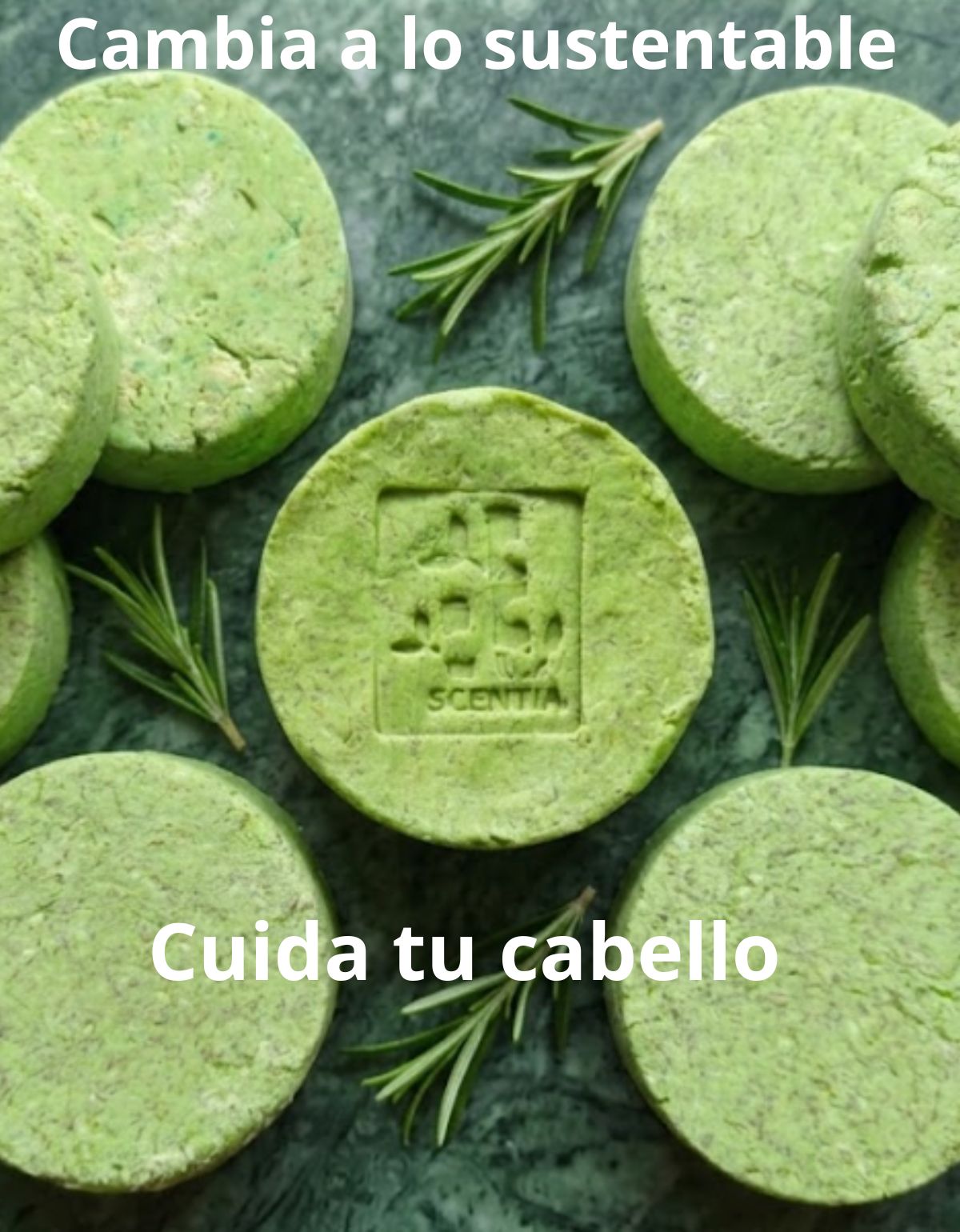 Shampoo Sólido Romero Anticaída Crecimiento Scentia