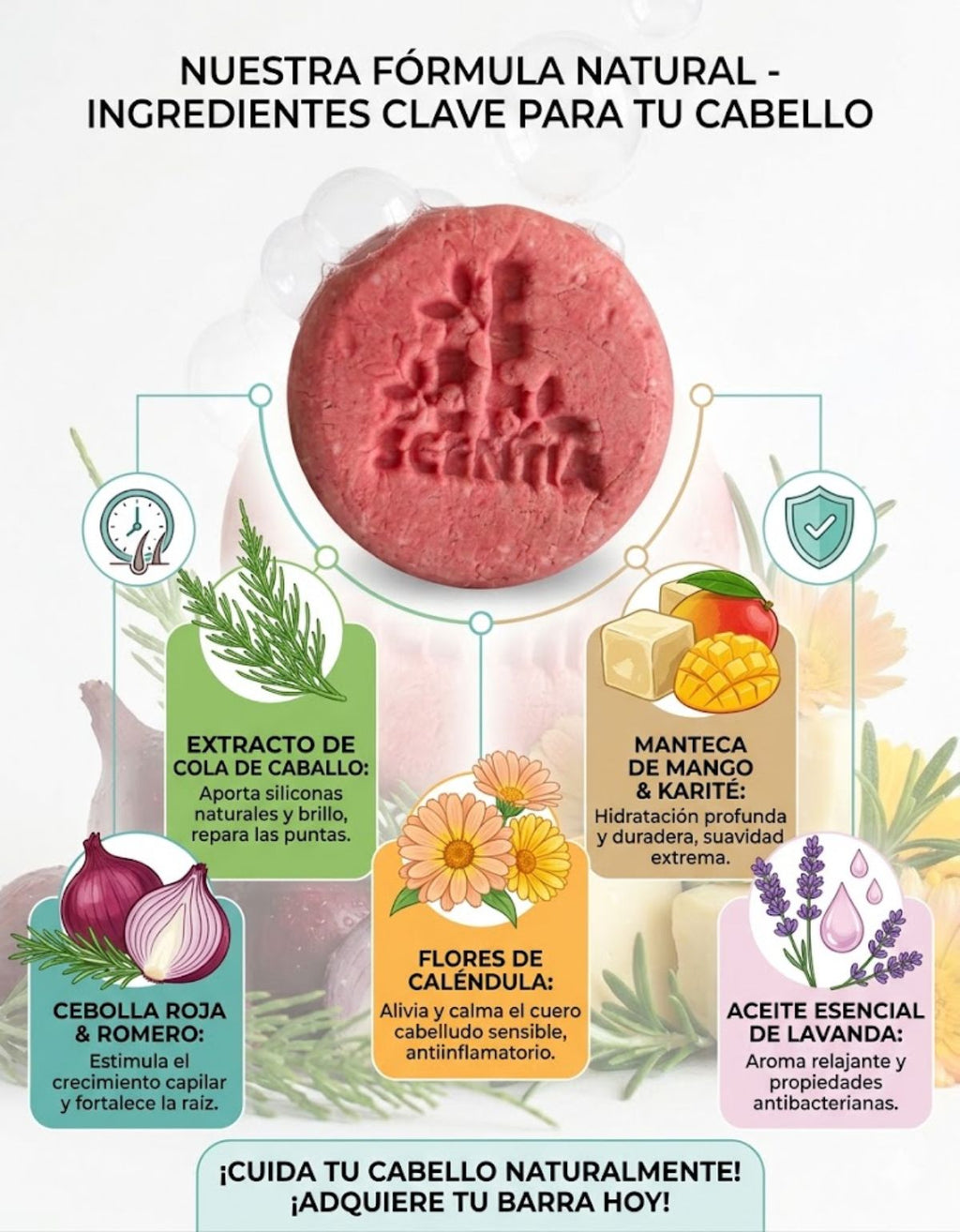 Shampoo Sólido Cebolla Romero Anticaída Crecimiento Scentia