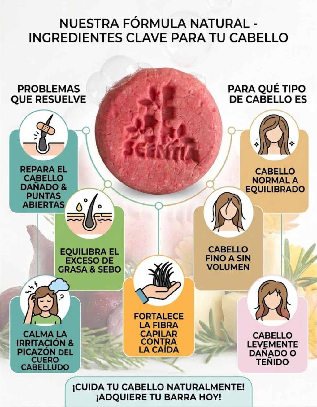 Shampoo Sólido Cebolla Romero Anticaída Crecimiento Scentia