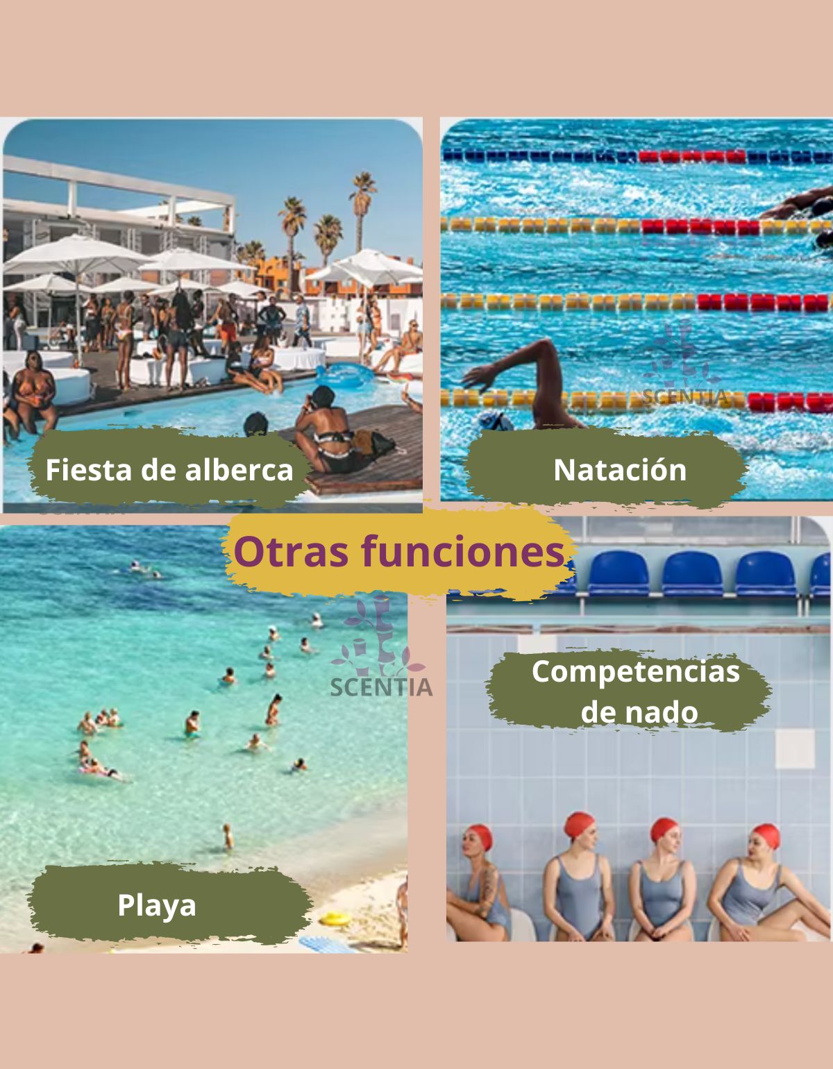 Traje De Baño Menstrual 4 Capas Antifugas