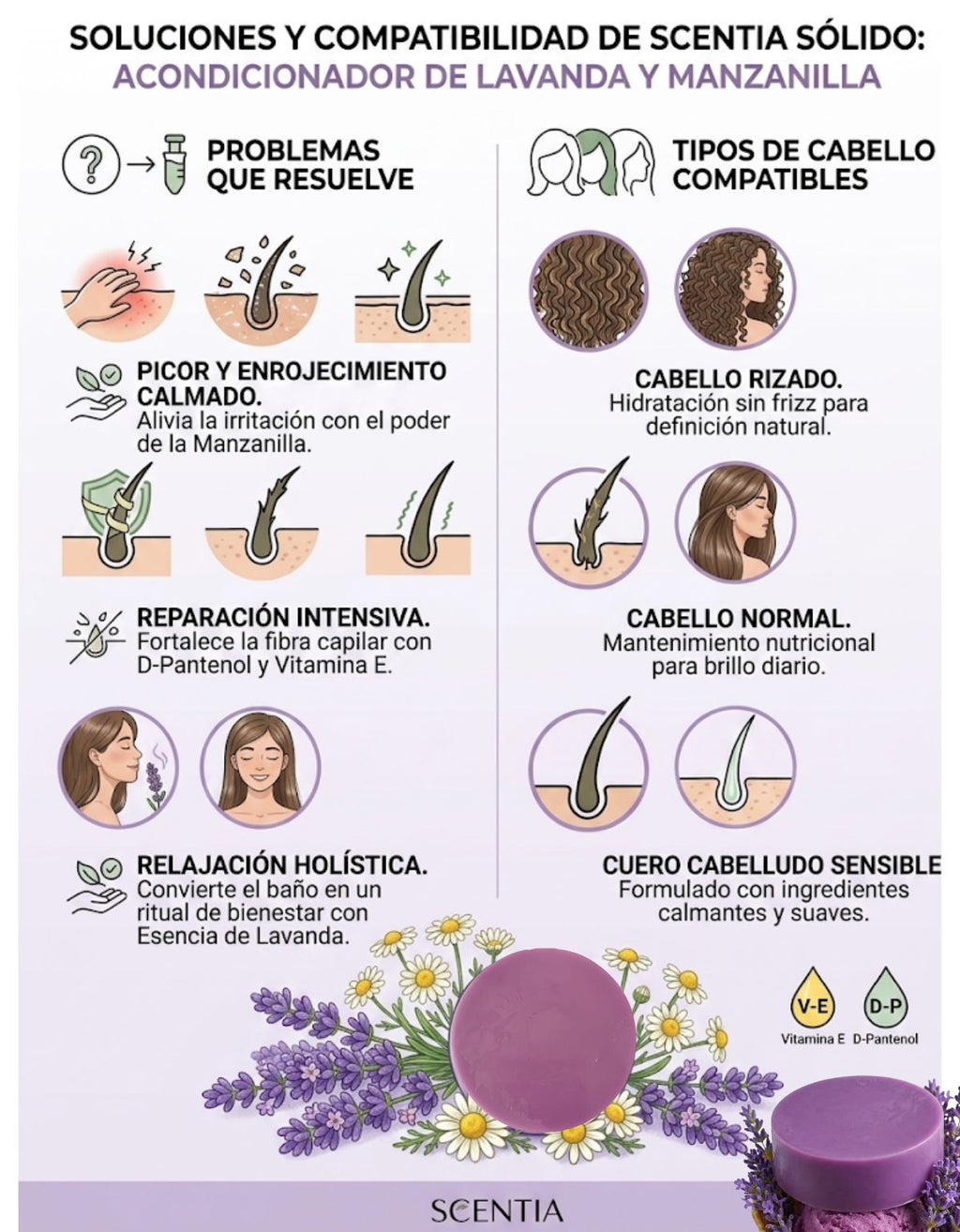 Kit Shampoo Y Acondicionador Sólido Aloe Manzanilla Lavanda