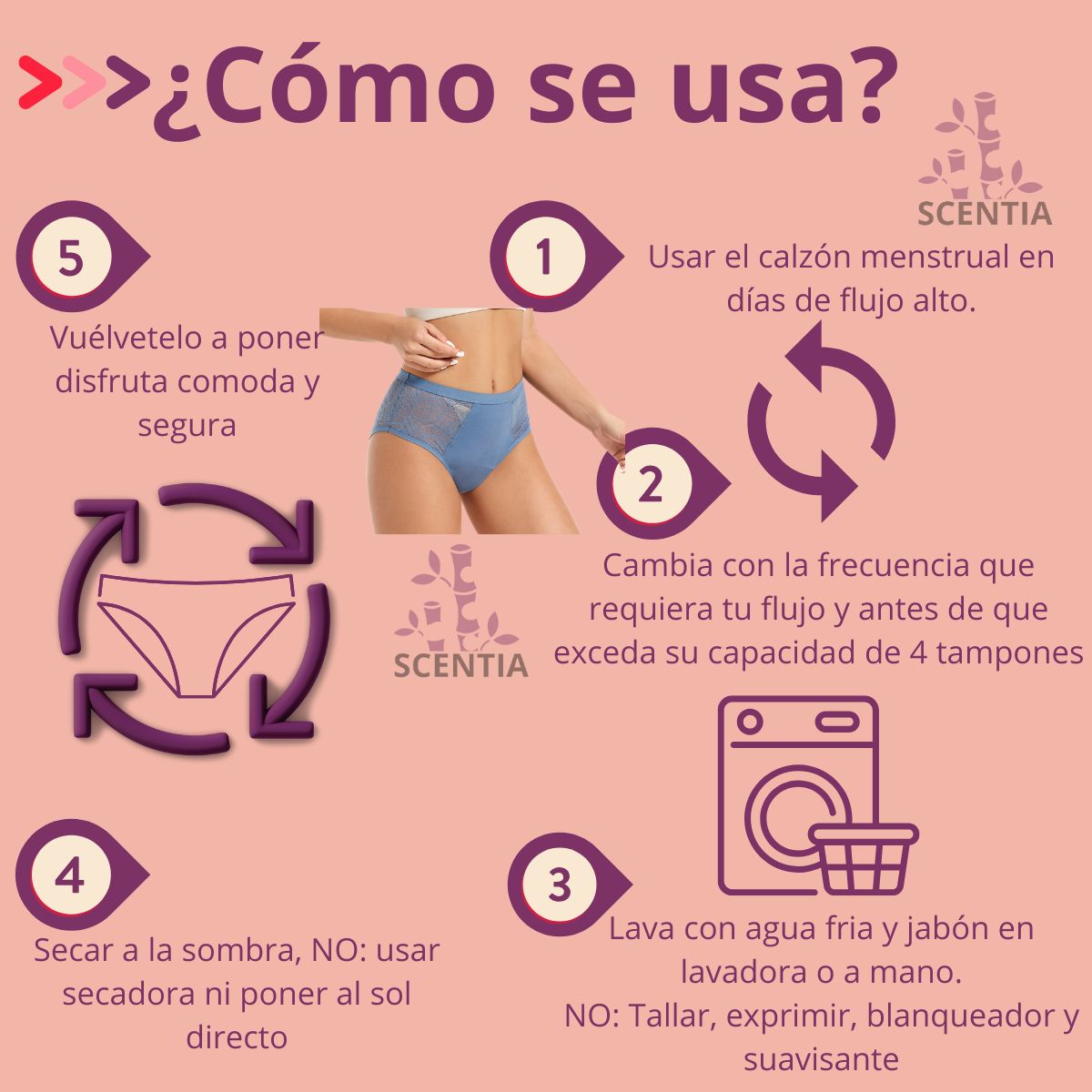 2 Pack Calzones Menstruales Azul Bambú Scentia Encaje Sexy Flujo Alto Braga