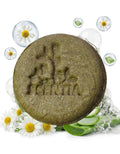 Shampoo Sólido Aloe Manzanilla Cuero Cabelludo Sensible Scen