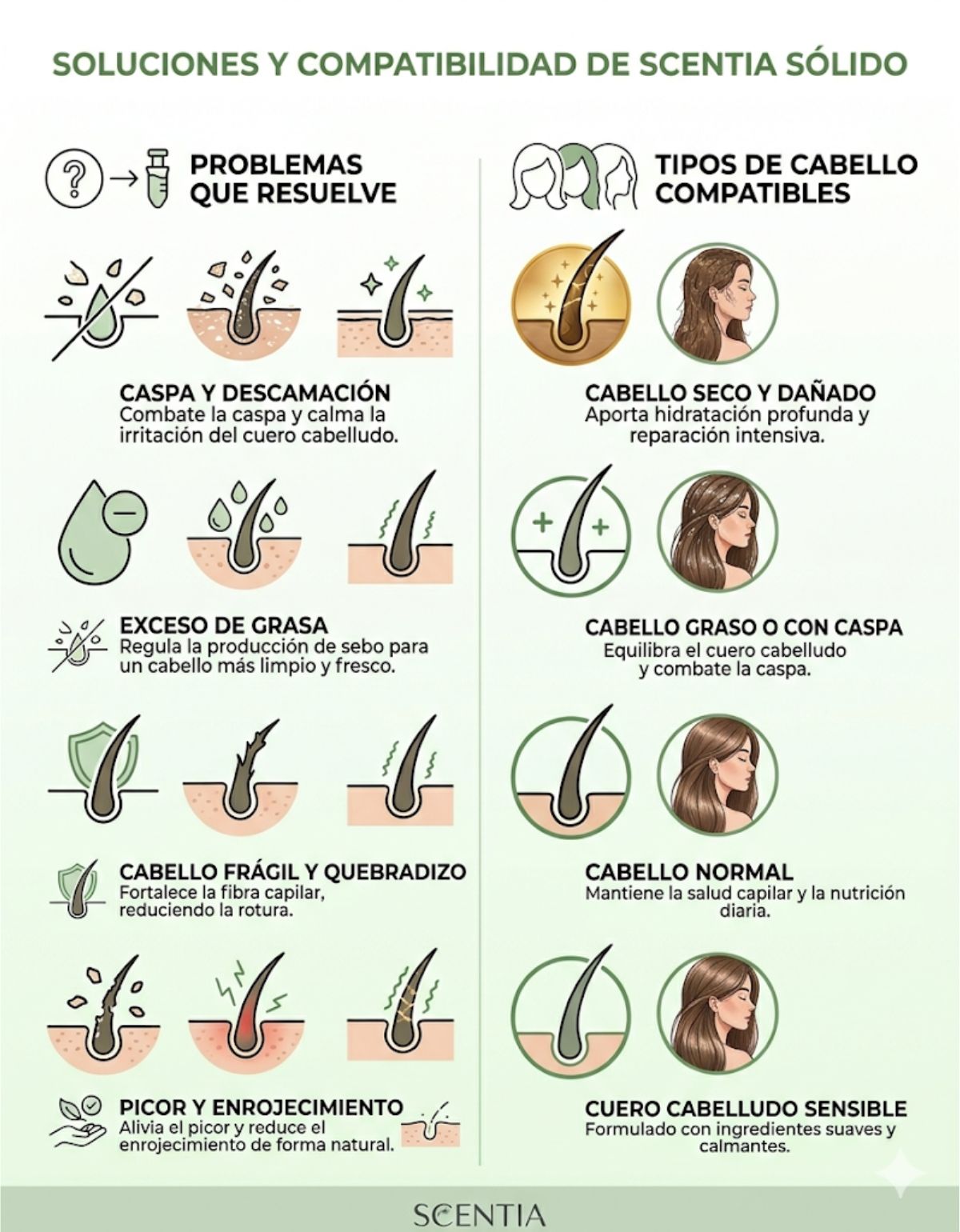 Shampoo Sólido Aloe Manzanilla Cuero Cabelludo Sensible Scen