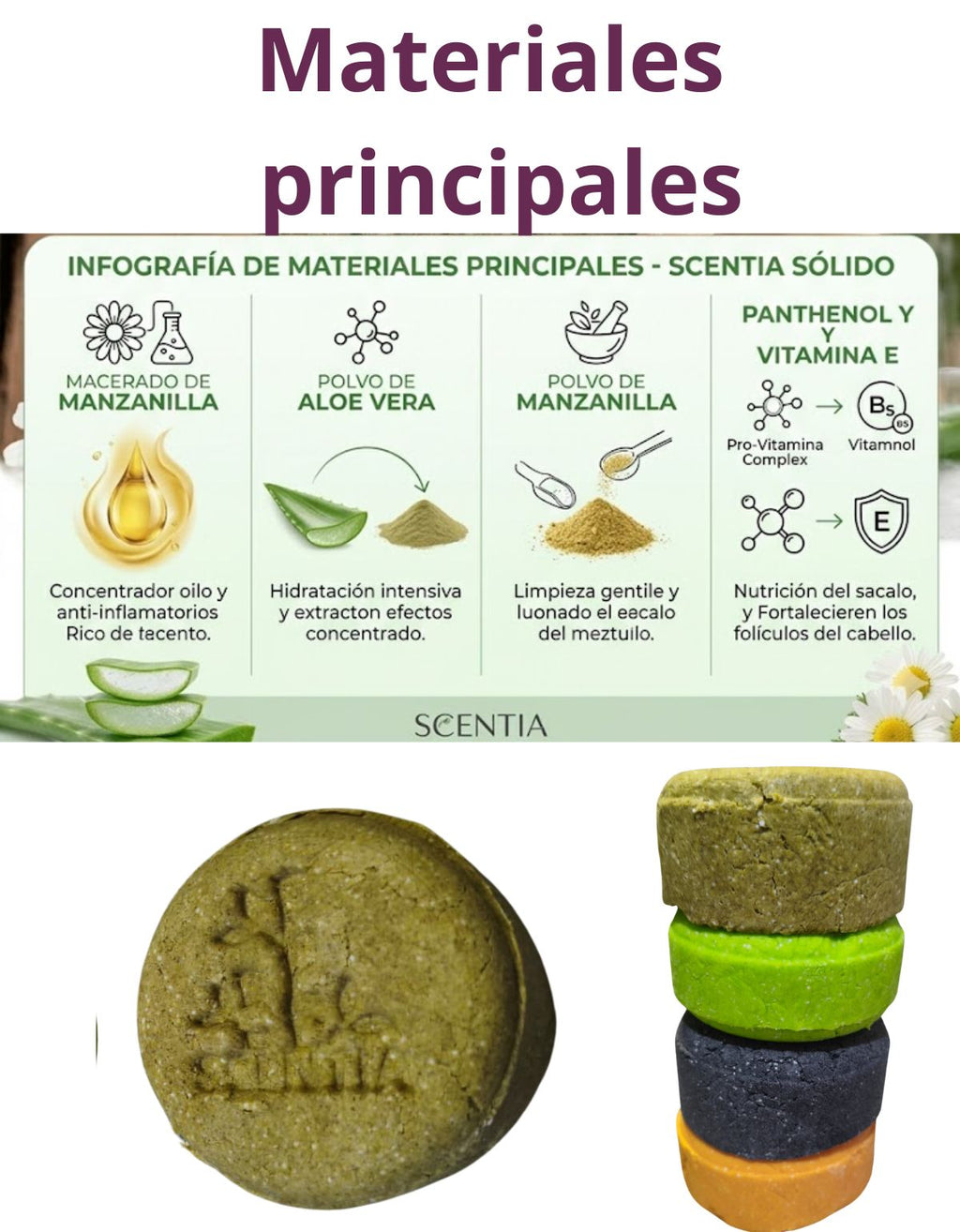 Shampoo Sólido Aloe Manzanilla Cuero Cabelludo Sensible Scen