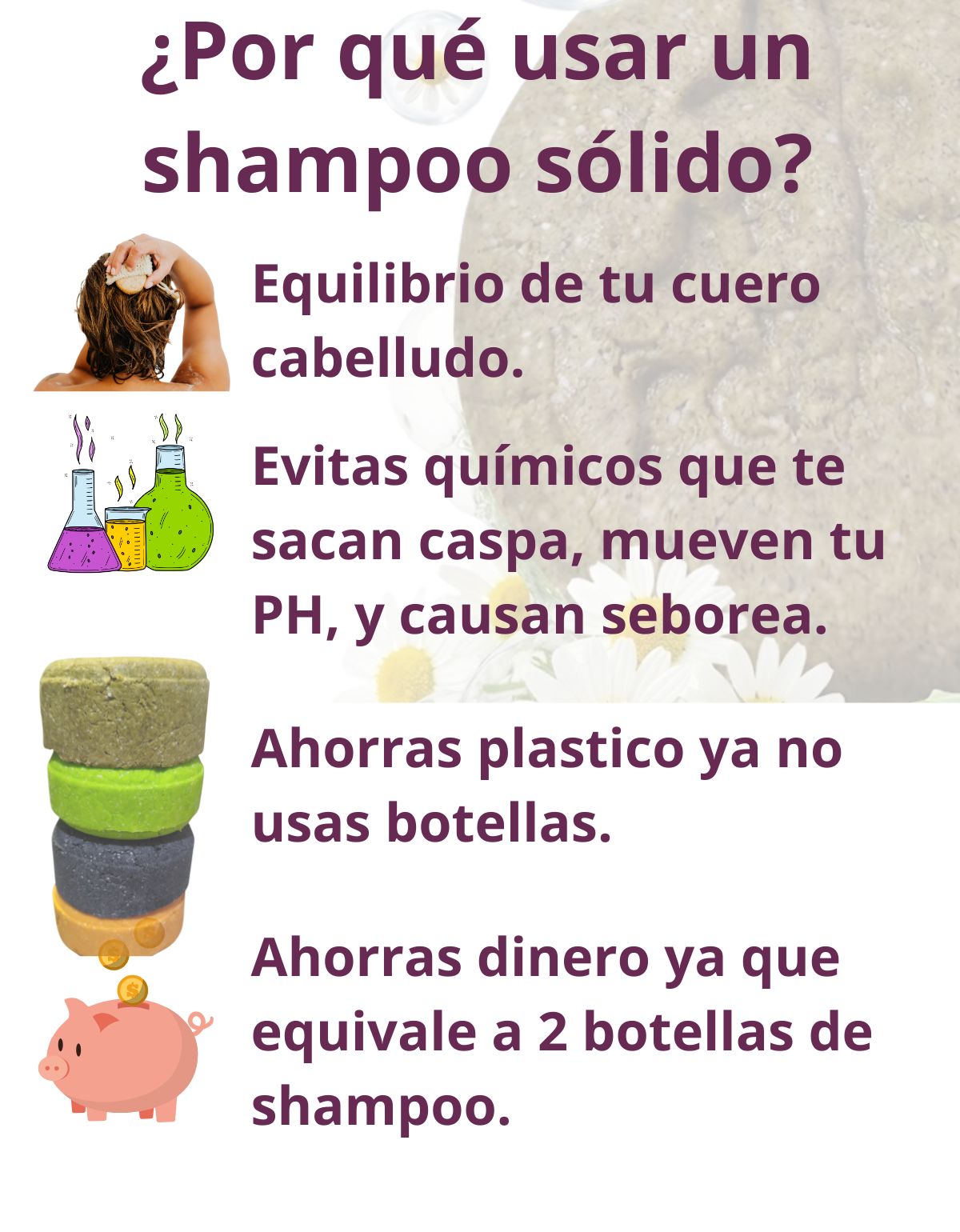 Shampoo Sólido Aloe Manzanilla Cuero Cabelludo Sensible Scen
