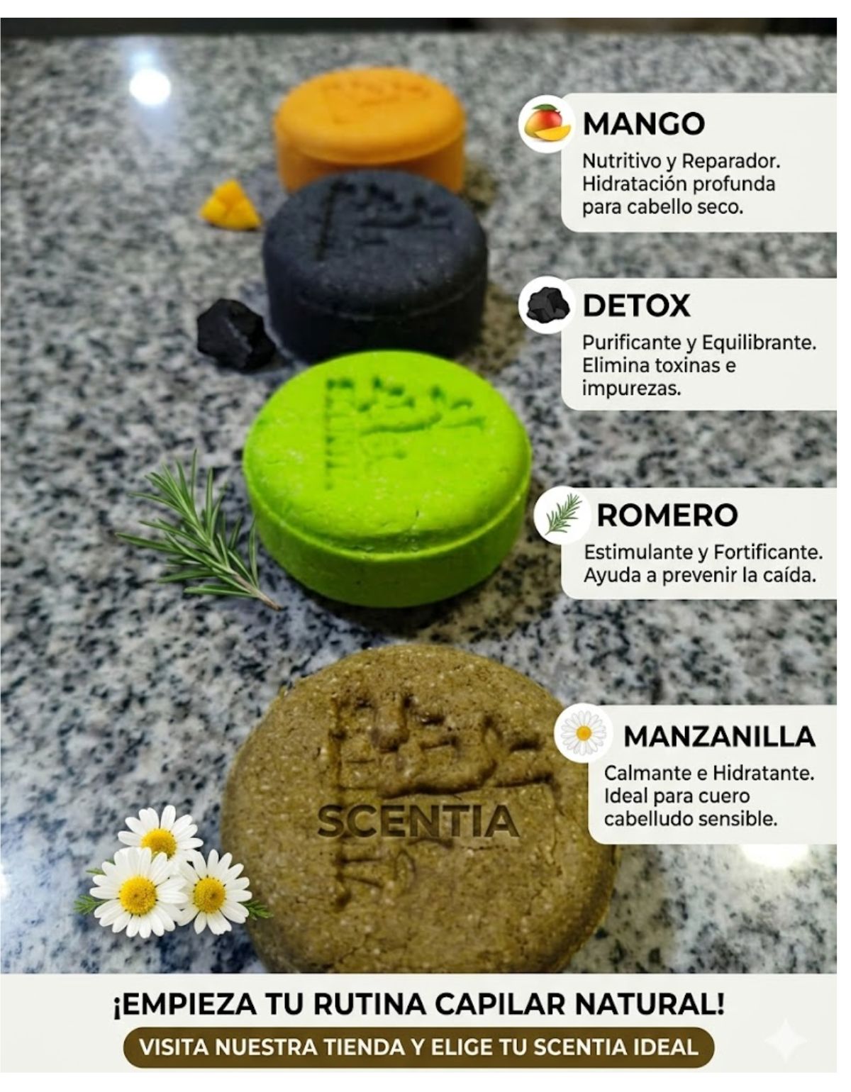 Shampoo Sólido Aloe Manzanilla Cuero Cabelludo Sensible Scen